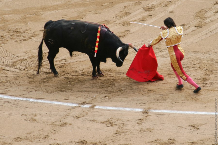 испанская коррида corrida
