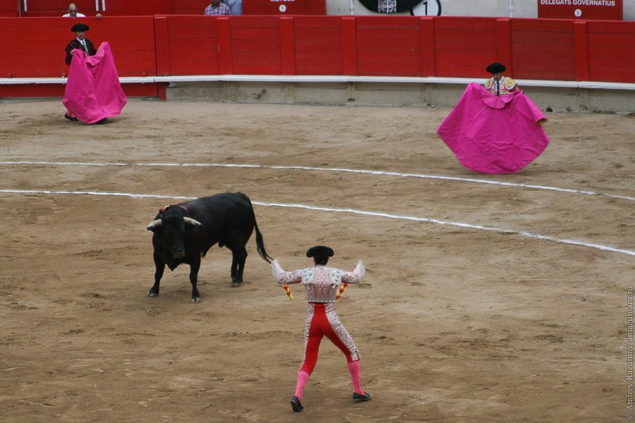 испанская коррида corrida
