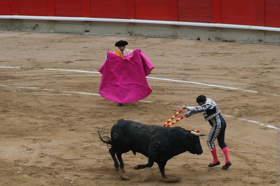 бандерильеро испанская коррида corrida