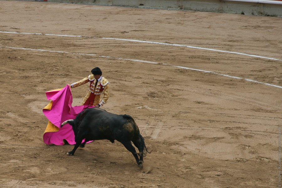 матадор испанская коррида corrida