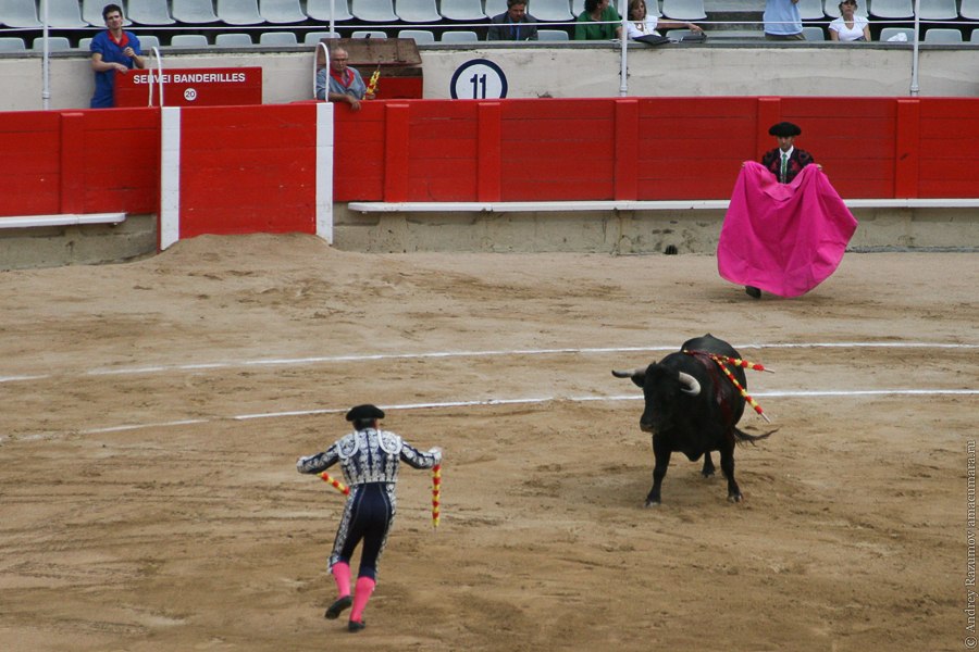 бандерильеро испанская коррида corrida